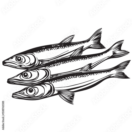 fish on a white background