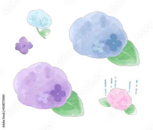 紫陽花 2色イラストセット