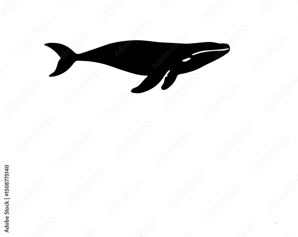 Obraz premium whale vector illustration