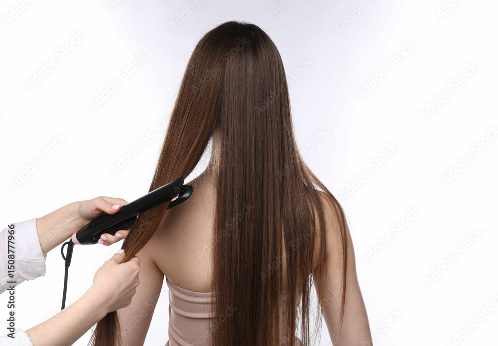 Fototapeta premium Hairdresser straightening woman's hair on white background, back view
