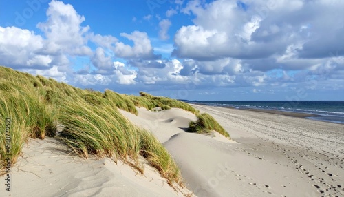 Scenic view of sandy beach and grass dunes under blue sky and clouds
