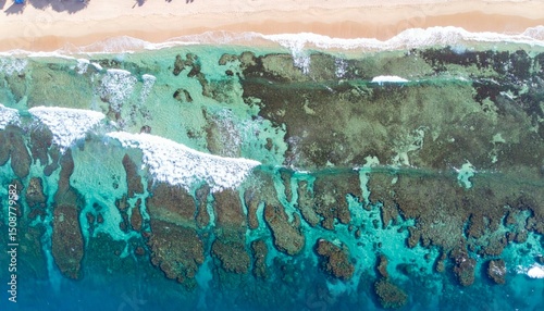 Aerial View of Vibrant Coral Reef and Sandy Beach Coastline