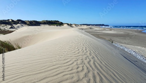 Expansive Sand Dunes and Tranquil Ocean Shore Under Clear Sky