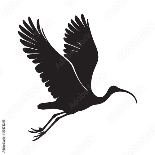 Ibis silhouette with smooth contours – Ibis illustration – Minimalist Ibis vector – Bird silhouette – Bird vector

