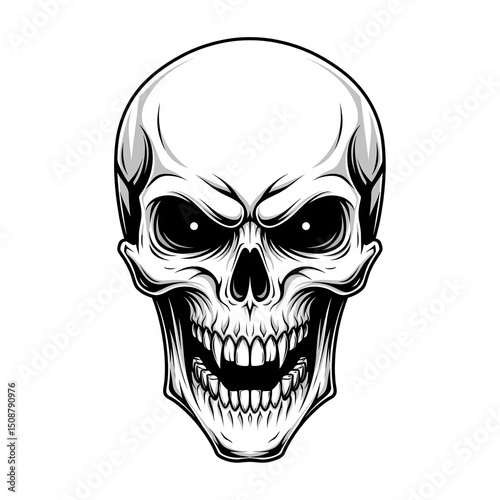 human skull vector illustration