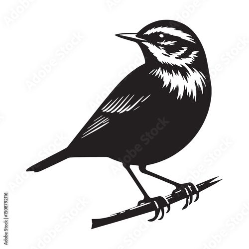 Flight Pose Lark silhouette – Lark illustration – Minimalist Lark vector – Bird silhouette – Bird vector

