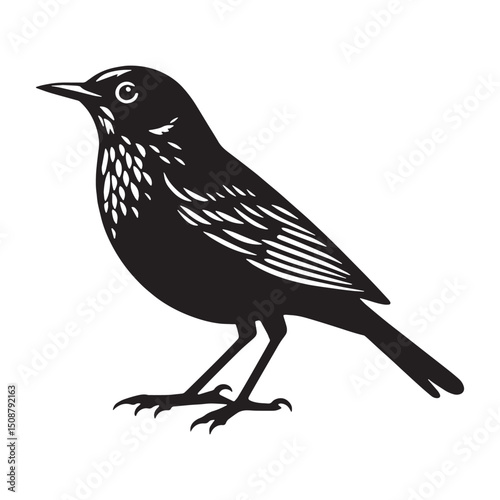 Classic Lark silhouette with clean lines – Lark illustration – Minimalist Lark vector – Bird silhouette – Bird vector

