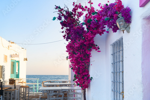 Fototapeta Naklejka Na Ścianę i Meble -  Naoussa typical white street leading to sea with sunshine, small village on Paros island, Greece
