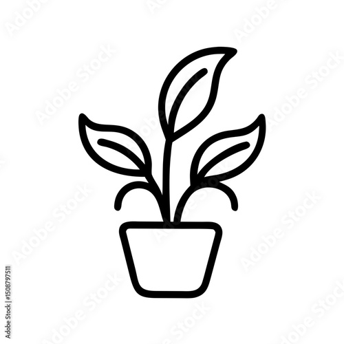 houseplant
