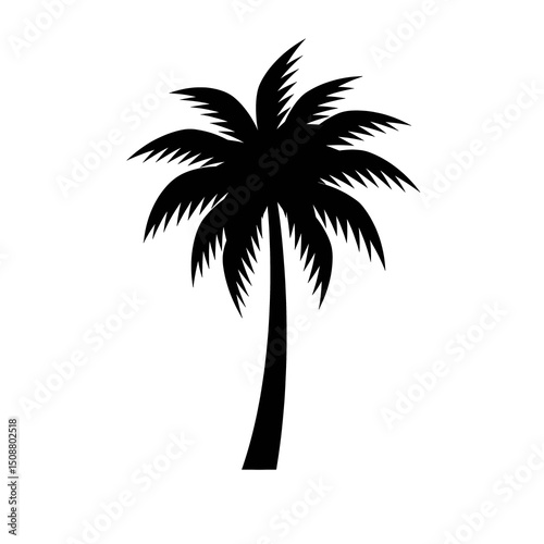 palm tree silhouette isolated on transparent background, png image 