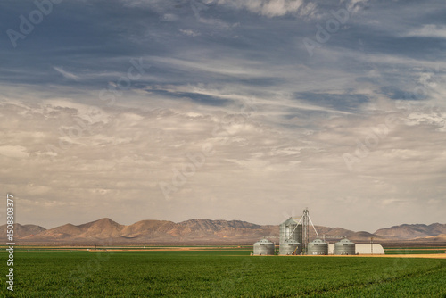 Grain silo in the desert