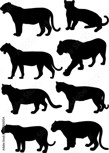 "Illustrate a collection of big cat silhouettes (tigers, leopards, jaguars) in a white background layout that emphasizes pose diversity and symmetry using only flat black shapes."