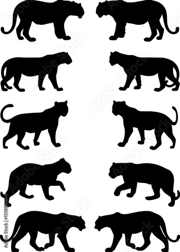 "Illustrate a collection of big cat silhouettes (tigers, leopards, jaguars) in a white background layout that emphasizes pose diversity and symmetry using only flat black shapes."