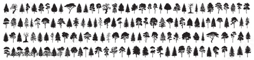 Coniferous trees forest. Trees set vector silhouette. Various bushes. Decorative trees collection