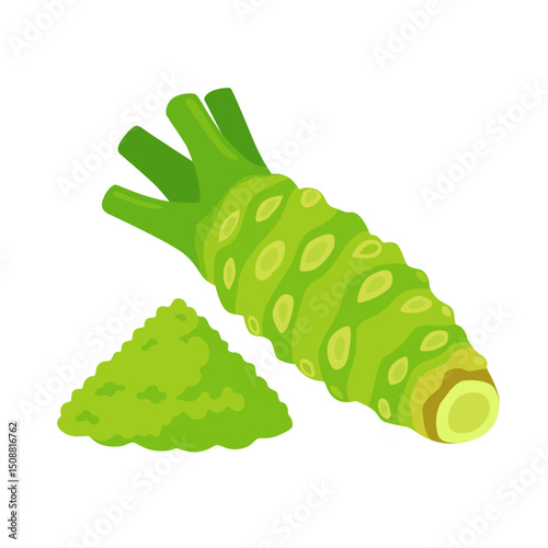 wasabi root, raw wasabi for japanese foodWhole and half wasabi isolated on white background. vector illustration	