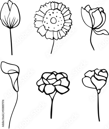 Hand drawn simple flower outline