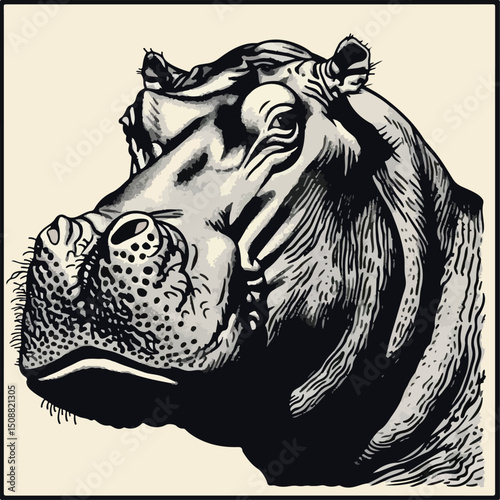 wild, illustration, hippopotamus, art, vector, animal, hippo, image, african, wildlife, zoo, isolated, big, nature, design, africa, white, cartoon, drawing, graphic, mammal, sketch,  behemoth, 