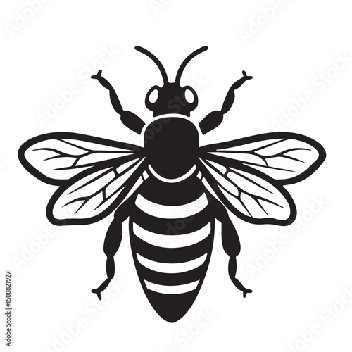 bee vector Illustration