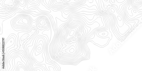 Abstract minimal The patter discovery vector topo map creative discovery White wave grid stripe line map topography. vector geographic contour mounted map background.	