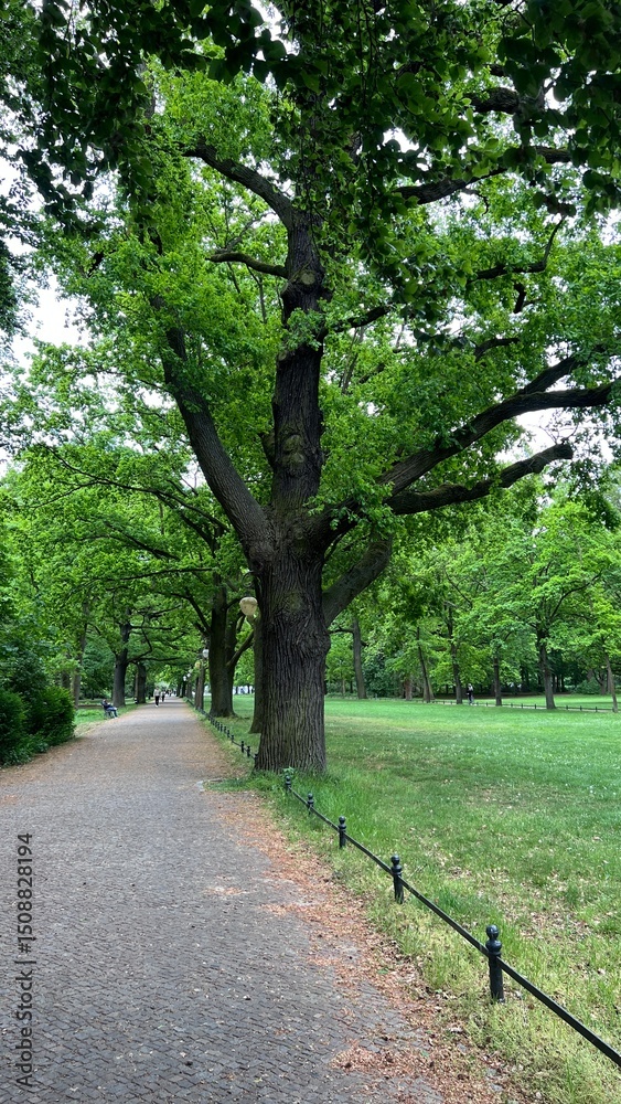 Obraz premium beautiful nature