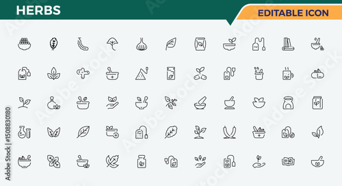 Herbs icon set. Related to organic, spice, herbal, herb and more. Herb icon set. Modern icons collection. Pixel perfect. Editable vector.