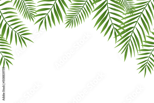 Palm tree branches top border. Gradient green palm trees leaves, tropical frame on white background