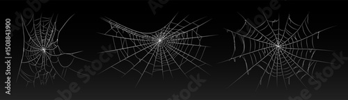 Halloween old spooky cobweb with various sizes and shapes. Old spider web set vector illustration dark gothic decoration for holidays. Corner spider net insect thread cobweb scary frames.