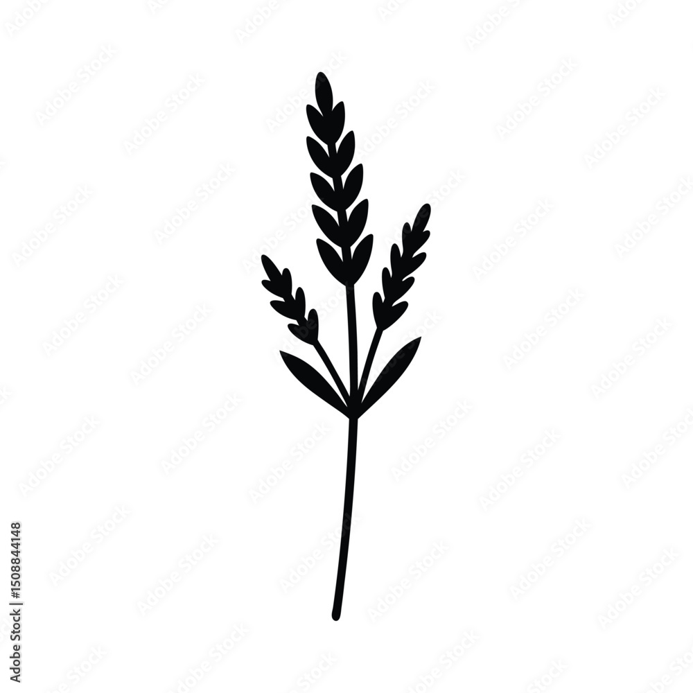 Fototapeta premium Minimalist Lavender Sprig Vector Silhouette