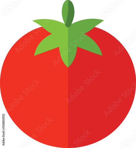 vector illustration of a tomato