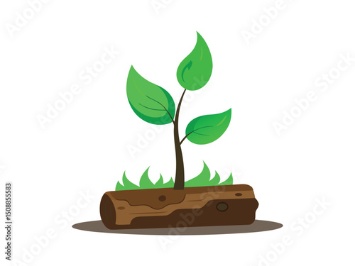 Young plant sprouting from log isolated on white background
