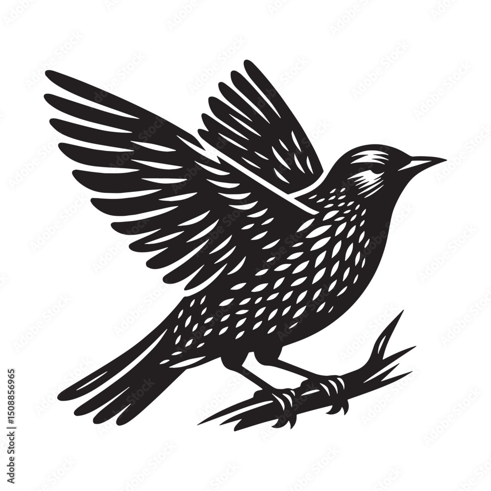 Fototapeta premium Bold Starling silhouette with focused gaze – Starling illustration – Minimalist Starling vector – Bird silhouette