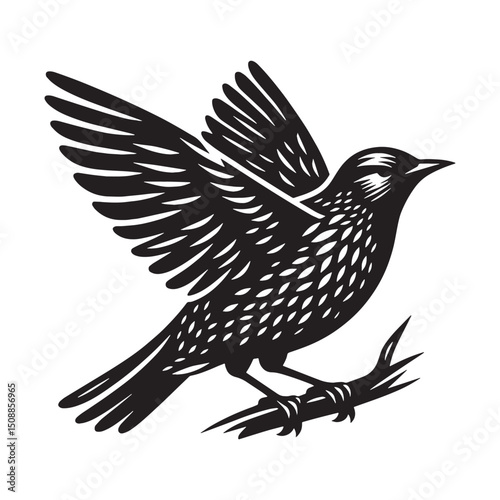 Bold Starling silhouette with focused gaze – Starling illustration – Minimalist Starling vector – Bird silhouette

