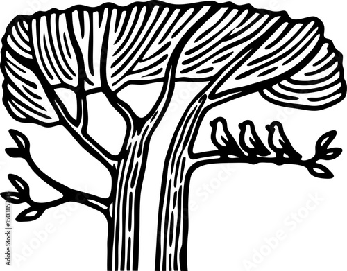 unique stylized tree with birds illustration bold lines and striking design, nature elements art