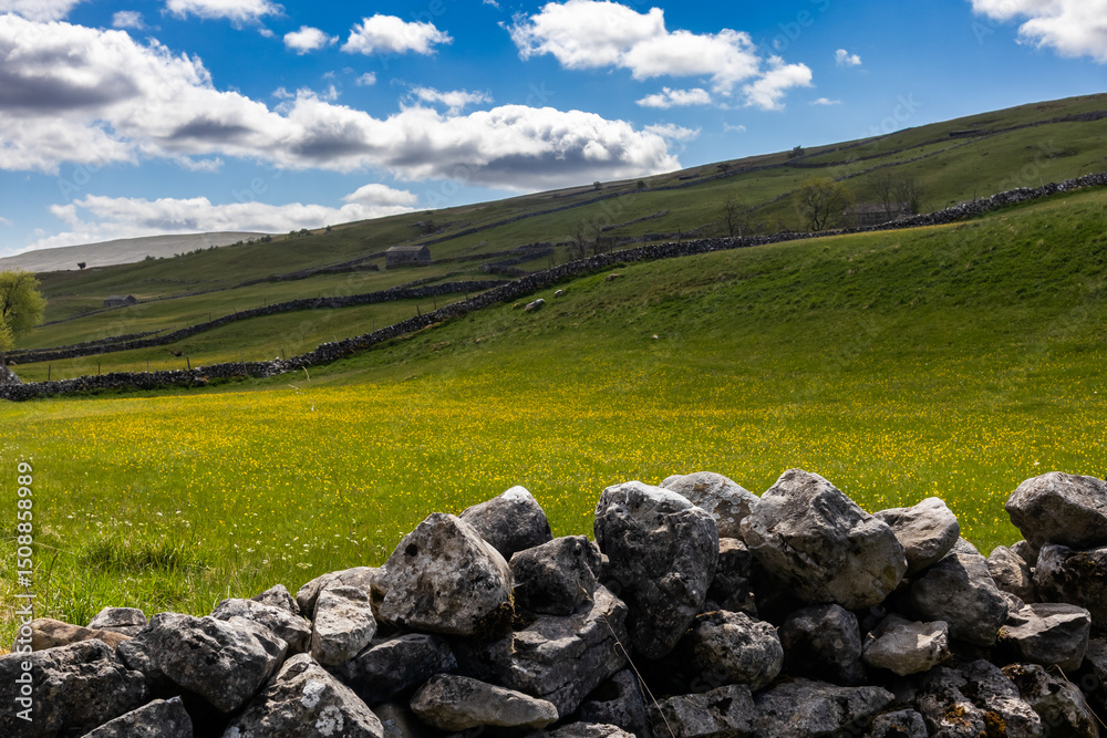 Buttercup meadow with dry stone wall on hillside with shadows on fields Buttercup meadow with dry stone wall on hillside with shadows on fields