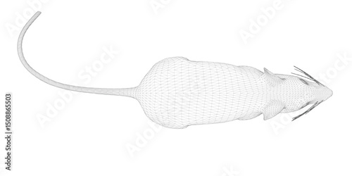 A mouse is shown in a black and white illustration. The mouse is curled up and he is sleeping. Top view. 3D