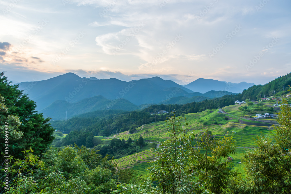 Fototapeta premium 丸山千枚田と山々が織りなす夏の夕景