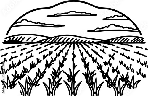 Scenic farmland at sunset with rows of crops under a dramatic sky in black and white illustration
