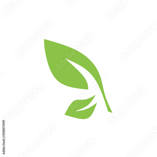tea leaves