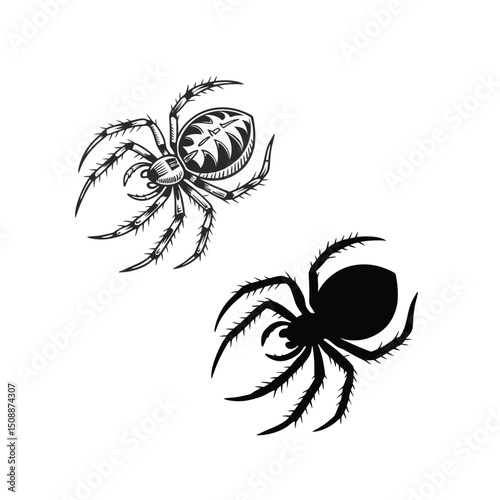 Vector Illustration Detailed Spider Designs, Black and White