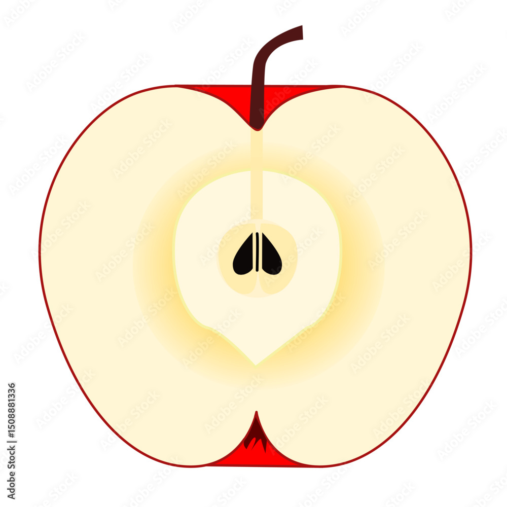 illustration of half an apple