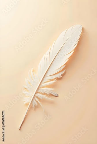 A delicate white feather rests gently on a soft beige backdrop, its intricate barbs and quill creating a study in texture and subtle light