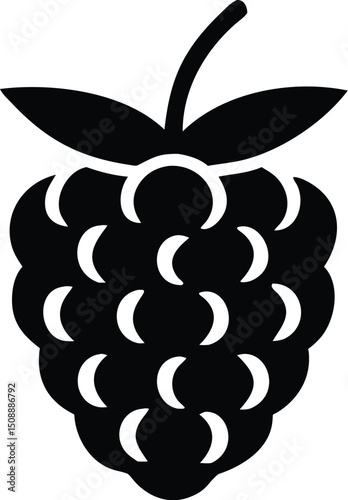Simple silhouette of a delicious blackberry with leaves shows a transparent background