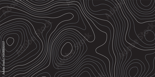 Background of the black and grey topographic map. Topographic map lines, contour background. Design illustration for wall art, fabric, packaging, web, banner, app, wallpaper.
