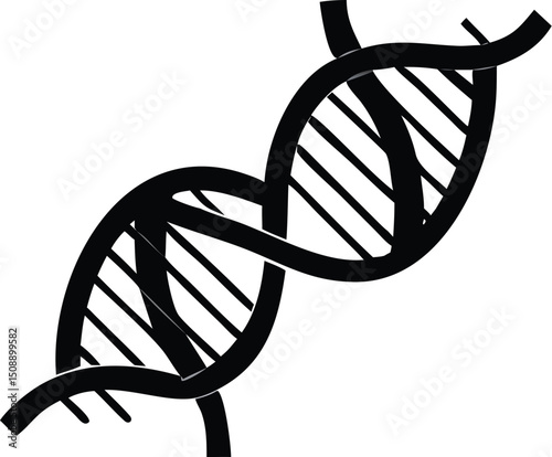 Genetic sequence is illustrated by a simple black DNA molecule on a transparent background