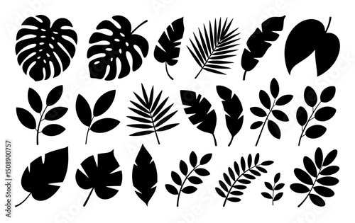 Tropical Leaves Silhouette Vector Set, Palm and Rainforest Leaf Clipart, palm, fern, banana, and various foliage shapes on white background