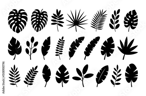 Tropical Leaves Silhouette Vector Set, Palm and Rainforest Leaf Clipart, palm, fern, banana, and other botanical shapes, nature-inspired design for jungle, summer