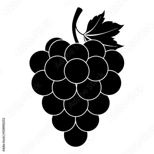 grapes vector illustration