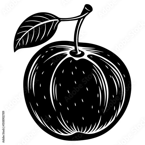 vector illustration of ripe plums