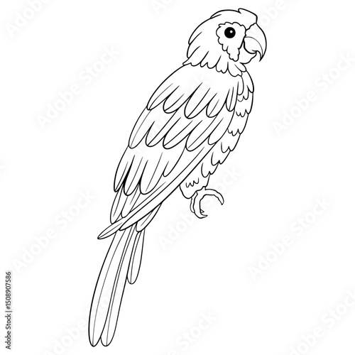 Bird Cute Cartoon Outline Illustration