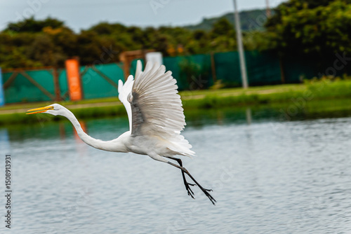 Extreme triathlete pushing limits through swim, bike, and run in a multi-day ultra endurance race